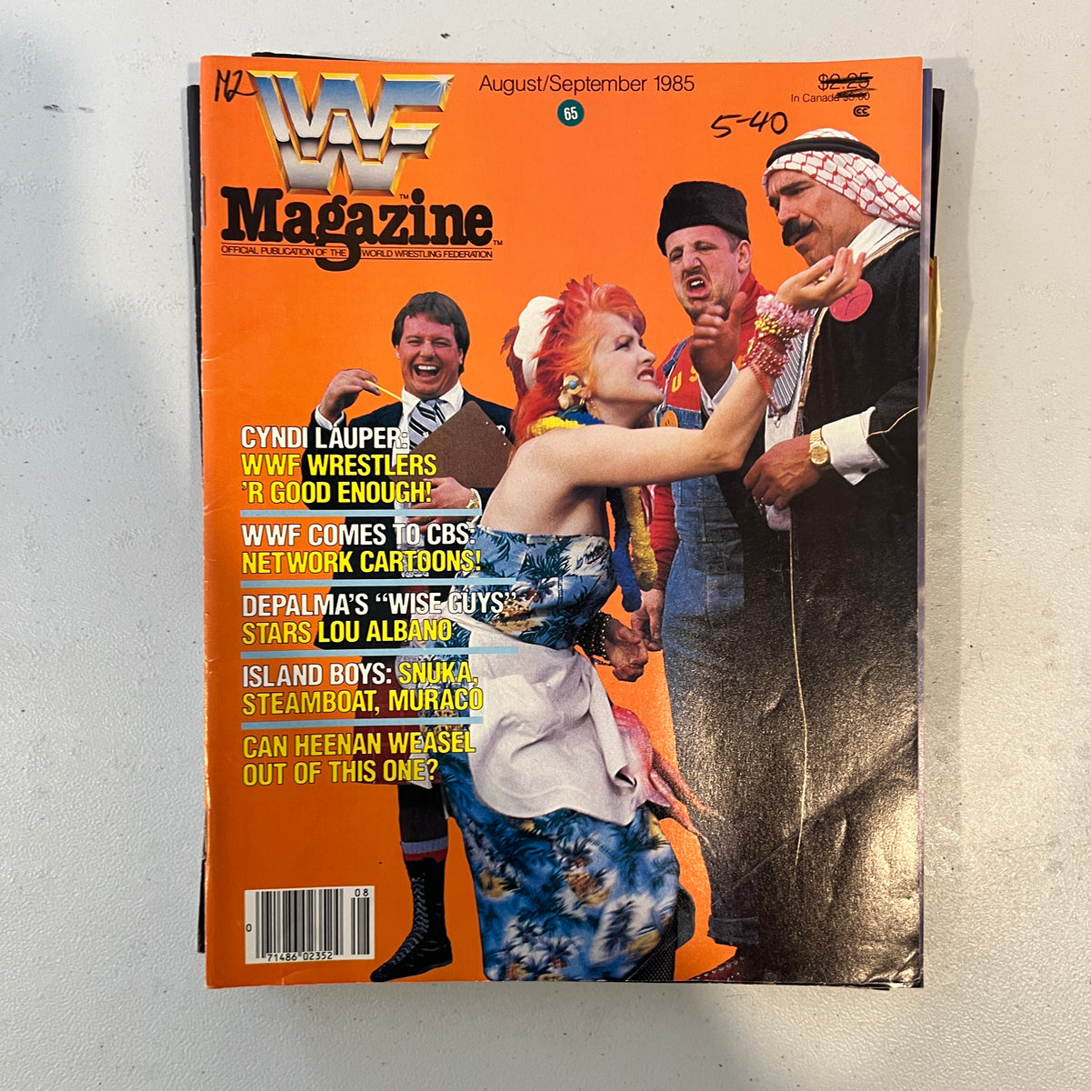 Shiek WWF WWE Magazine 1990s Retro Wrestling Merchandise Collectable 1