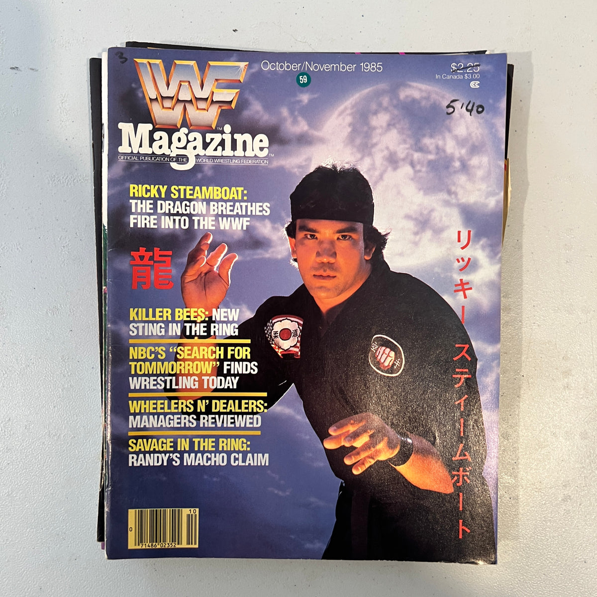 Ricky The Dragon WWF WWE Magazine 1990s Retro Wrestling Merchandise Collectable 1