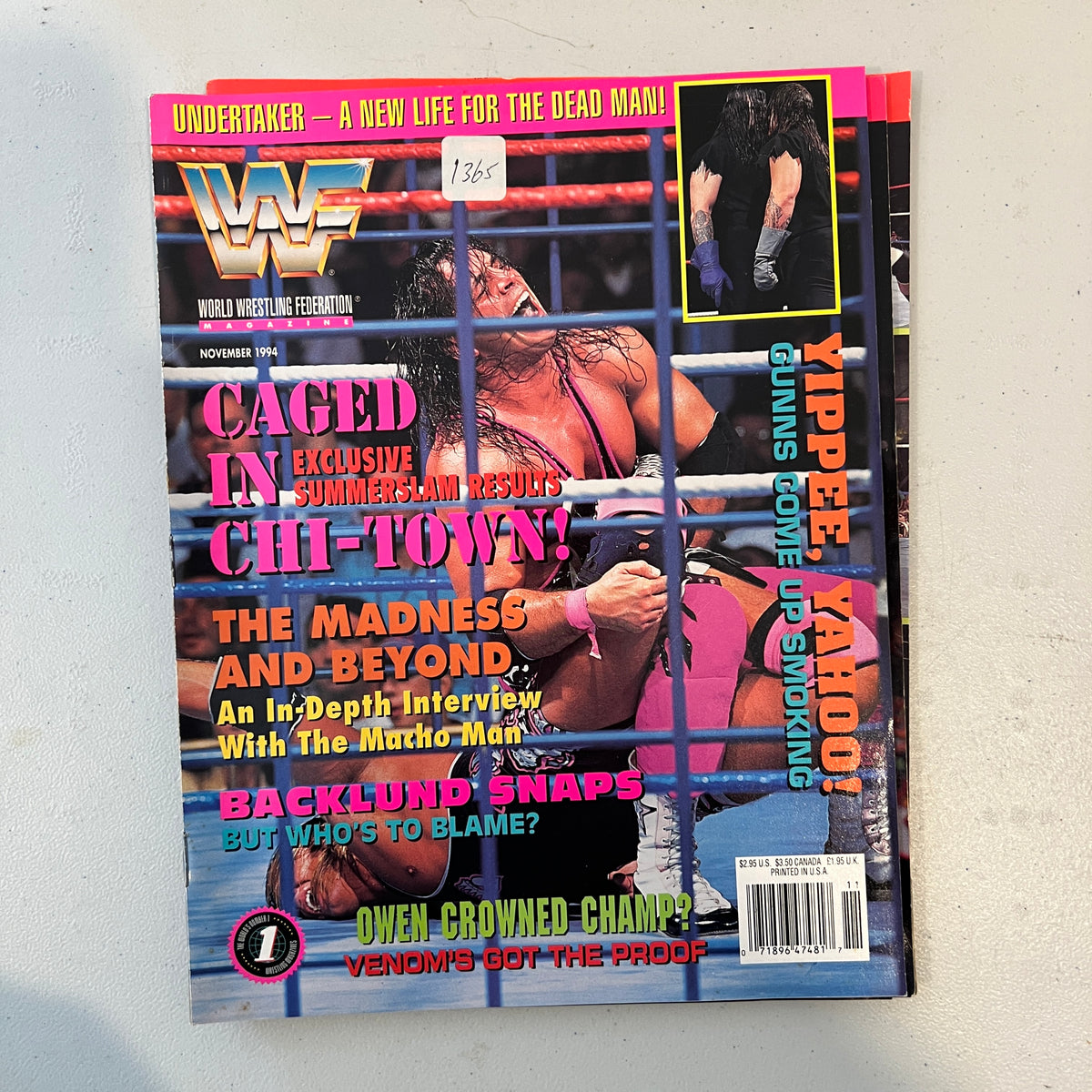 Bret Steel Cage WWF WWE Magazine 1990s Retro Wrestling Merchandise Collectable 3