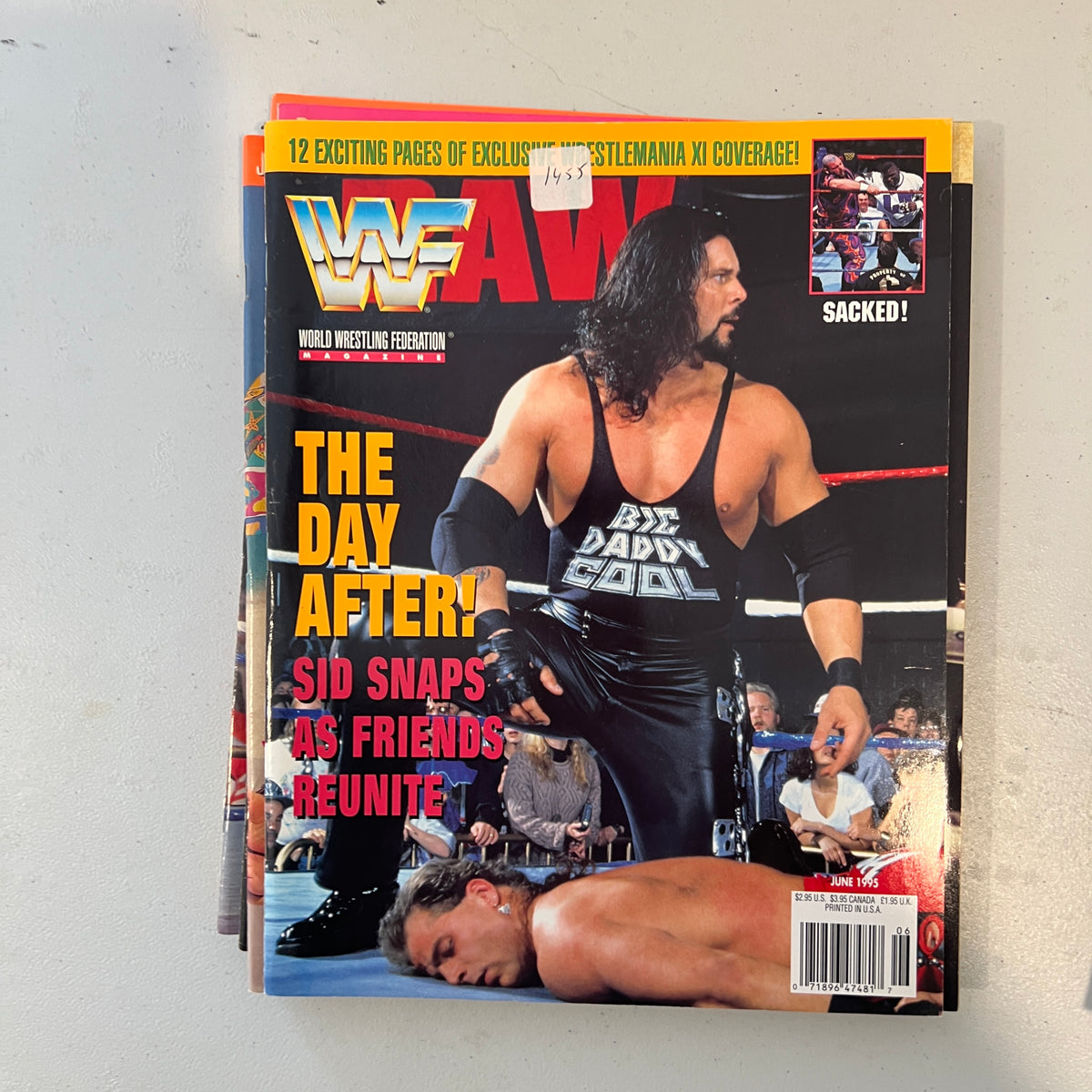 Diesel WWF WWE Magazine 1990s Retro Wrestling Merchandise Collectable 3