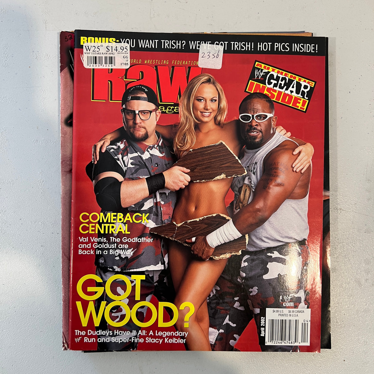 Dudley Boys WWF WWE Magazine 1990s Retro Wrestling Merchandise Collectable 3