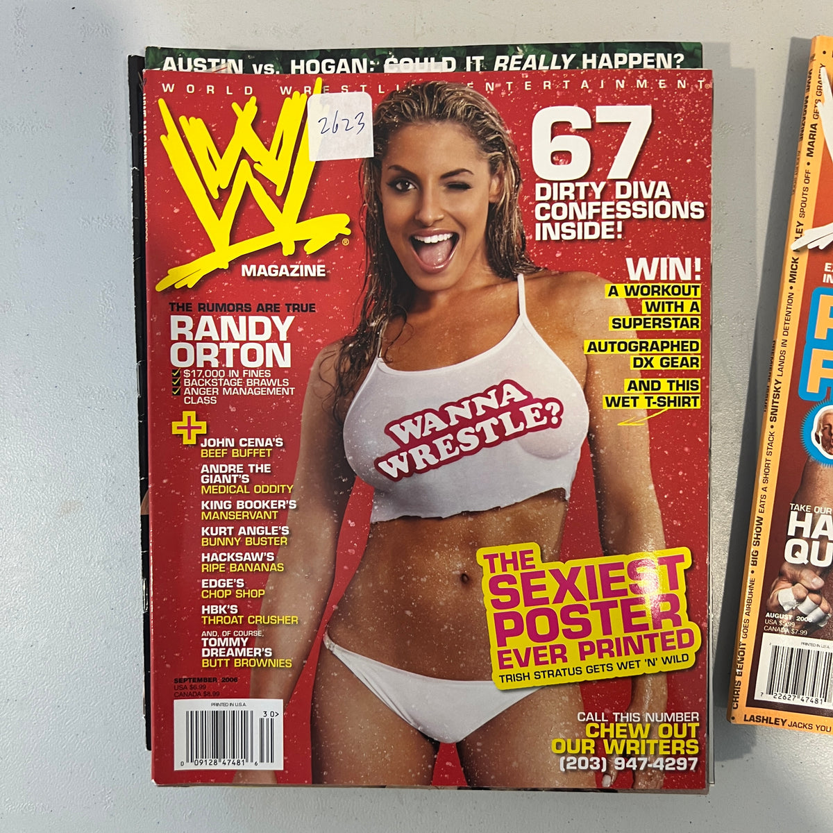 Trish Stratus WWE Magazine 2000s Retro Wrestling Merchandise Collectable 5