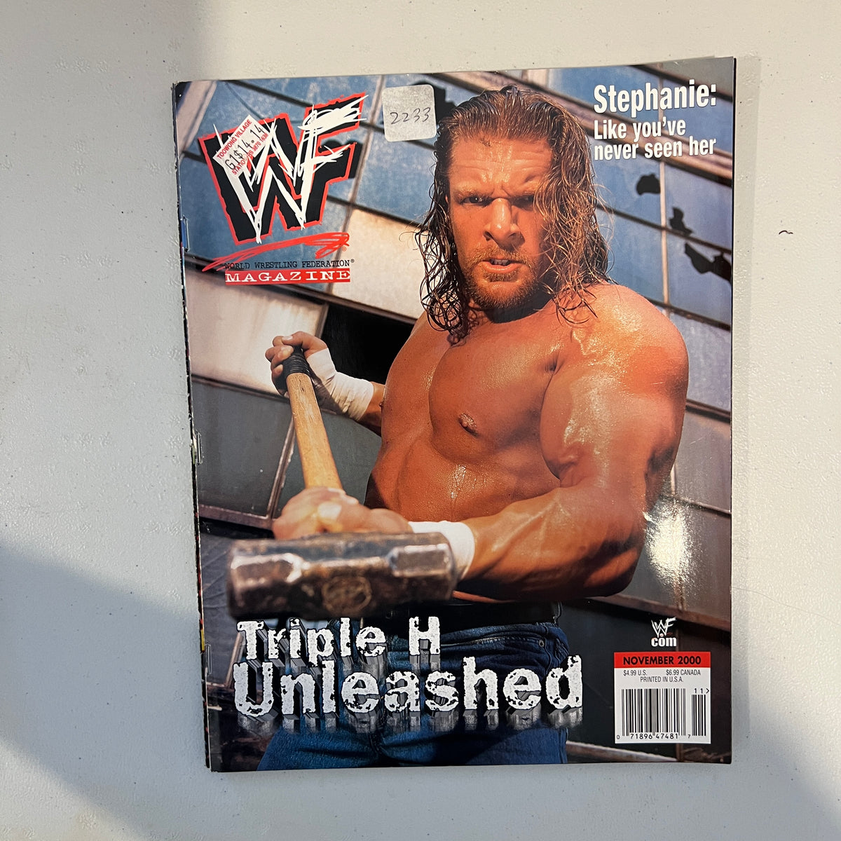 Triple H WWF WWE Magazine 1990s Retro Wrestling Merchandise Collectable 9