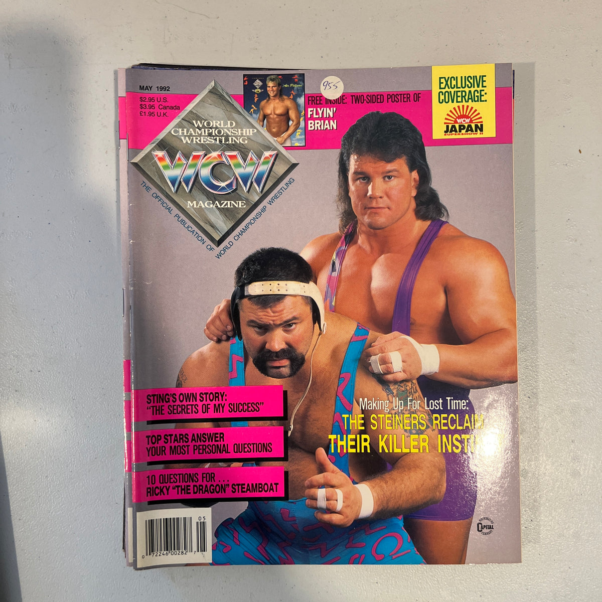 Steiners WCW WWE Magazine 1990s Retro Wrestling Merchandise Collectable 10