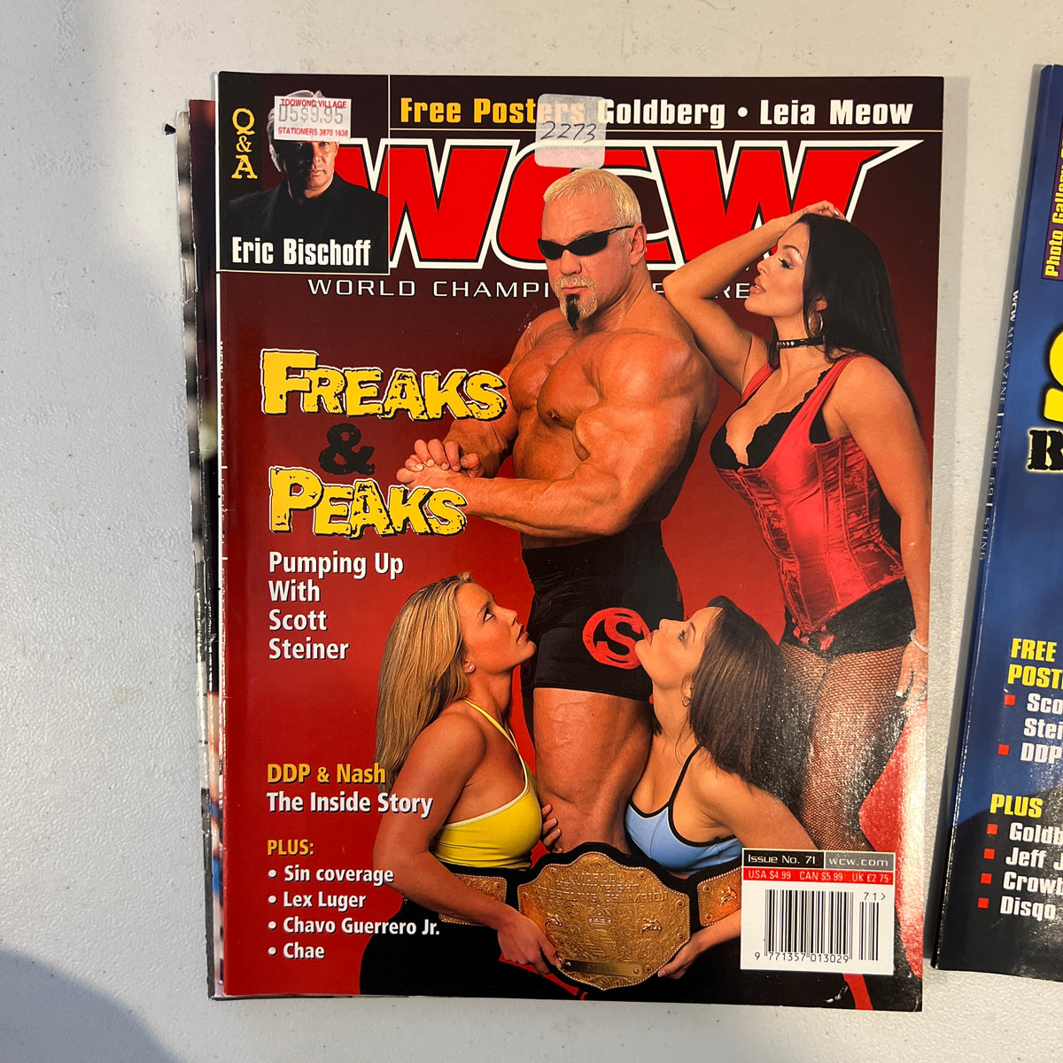 Scott Steiner WCW WWE Magazine 1990s Retro Wrestling Merchandise Collectable 10