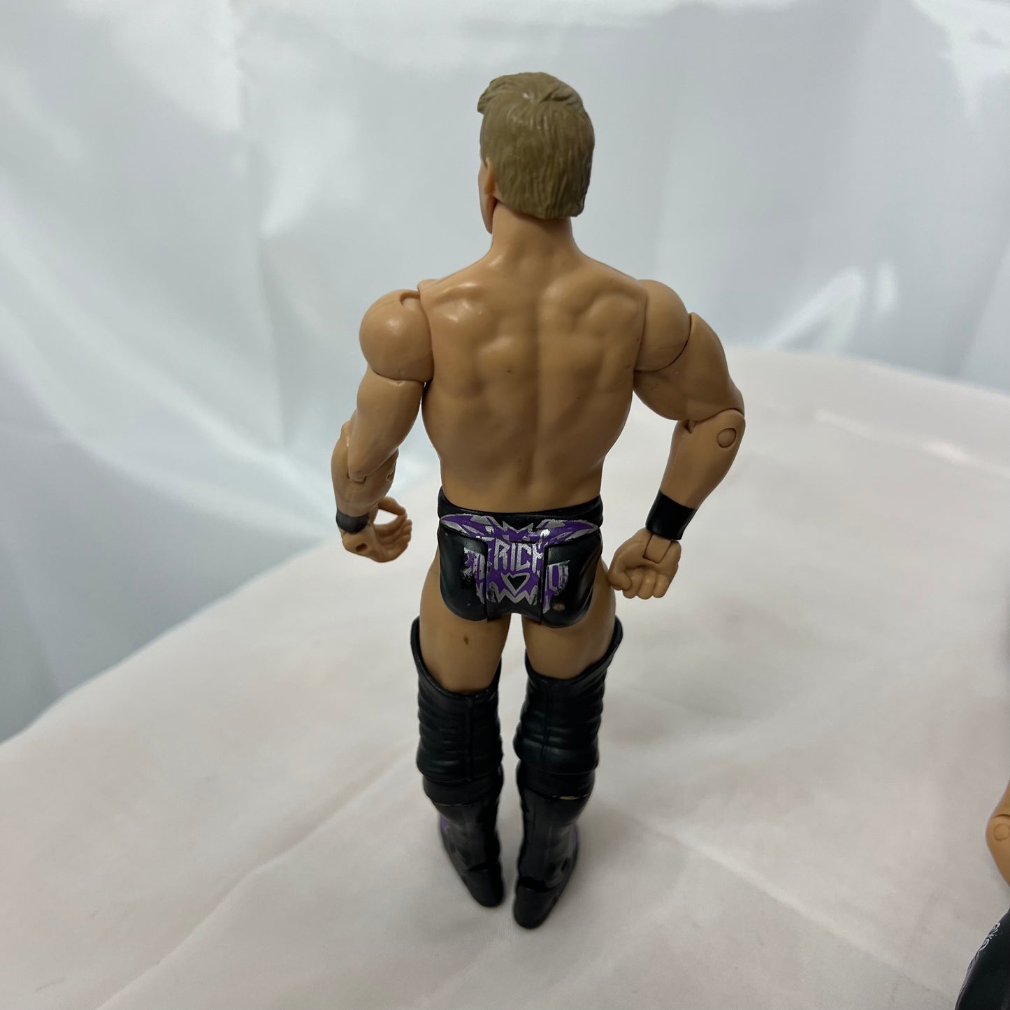 Chris Jericho - WWE Royal Rumble Loose Action Figure Mattel WWE
