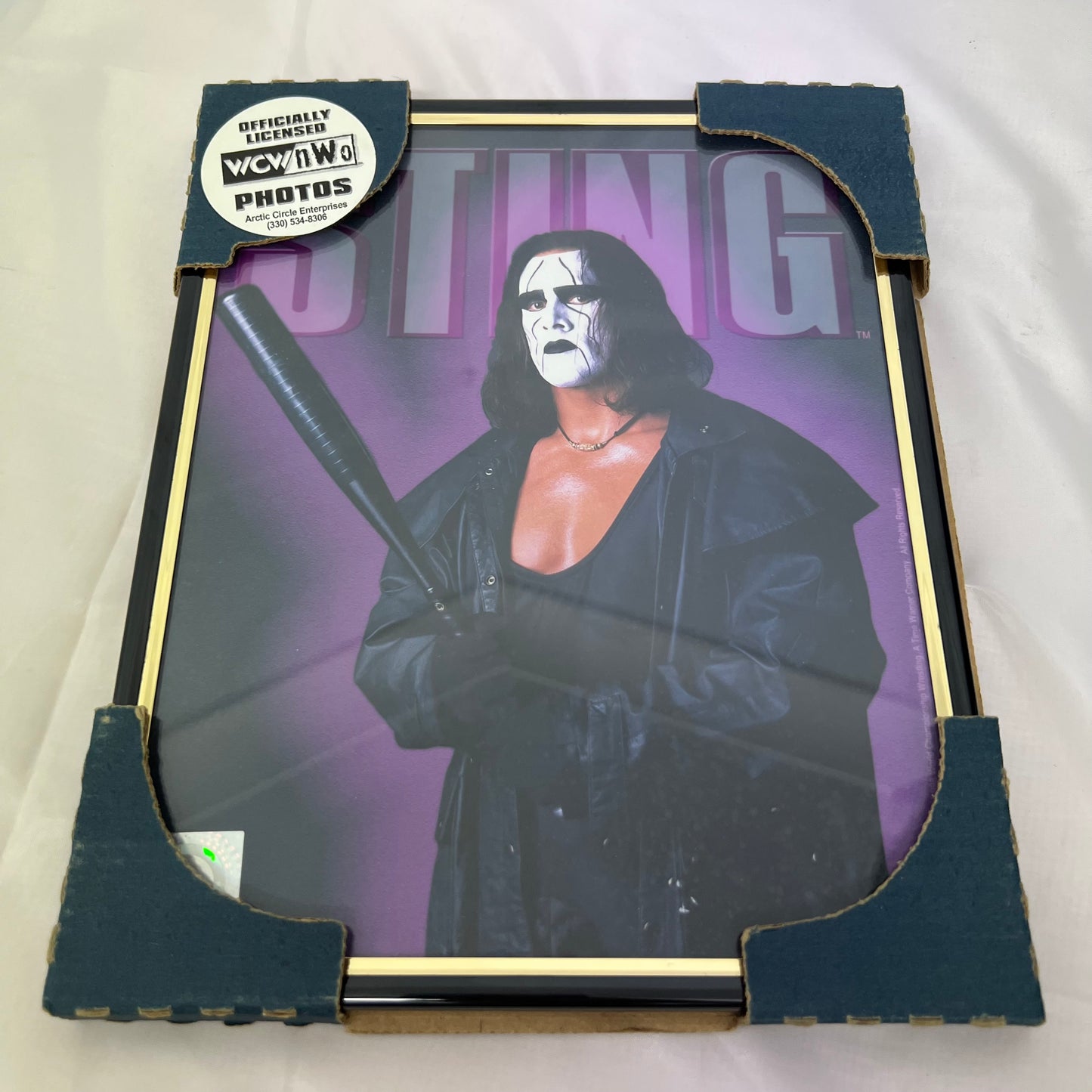 Sting - WCW Framed 8 x 10 Official Merchandise WWE