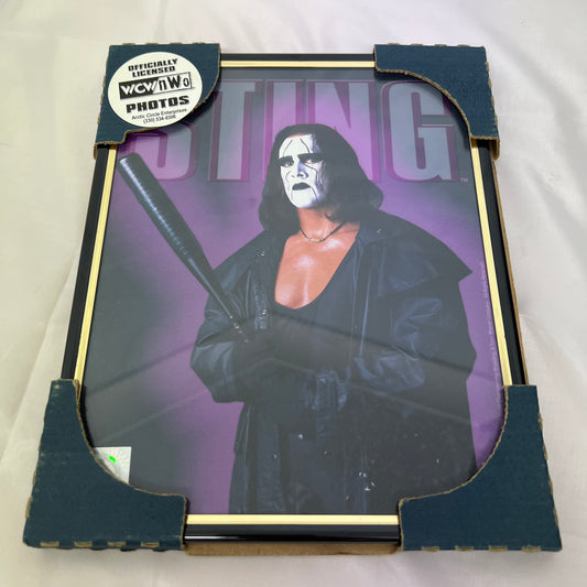 Sting - WCW Framed 8 x 10 Official Merchandise WWE