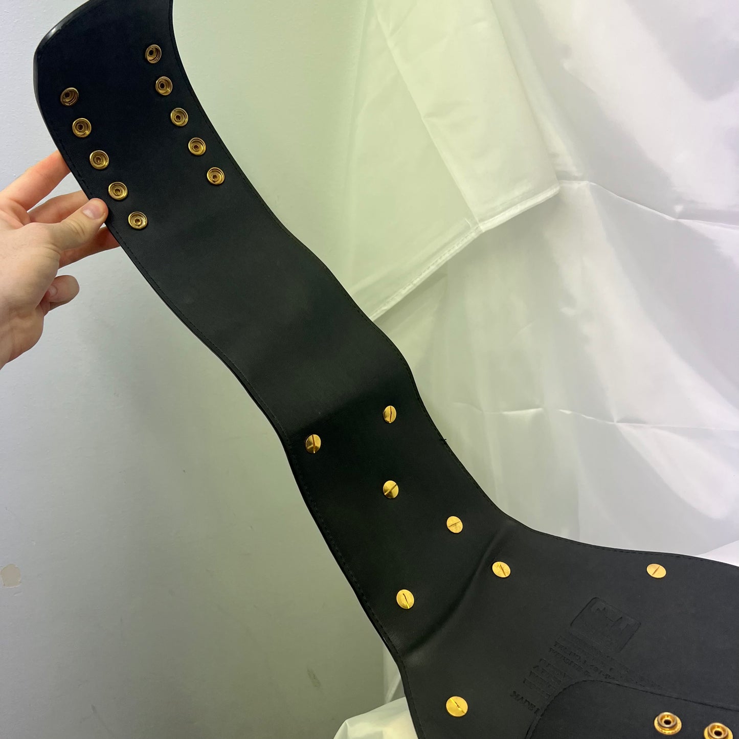 WWE WCW World Tag Team Championship Authentic Replica Belt