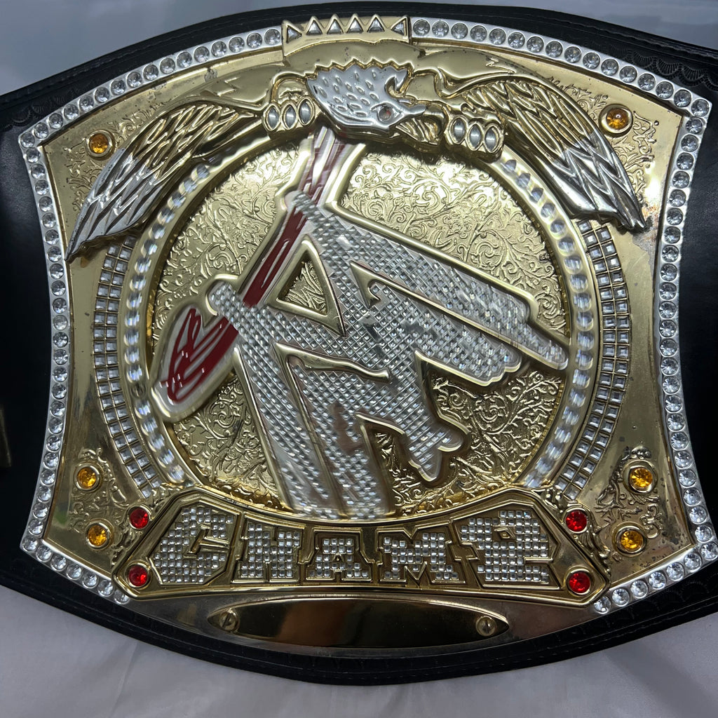 WWE Spinner Championship John Cena Authentic Replica Belt WWE FTC 1