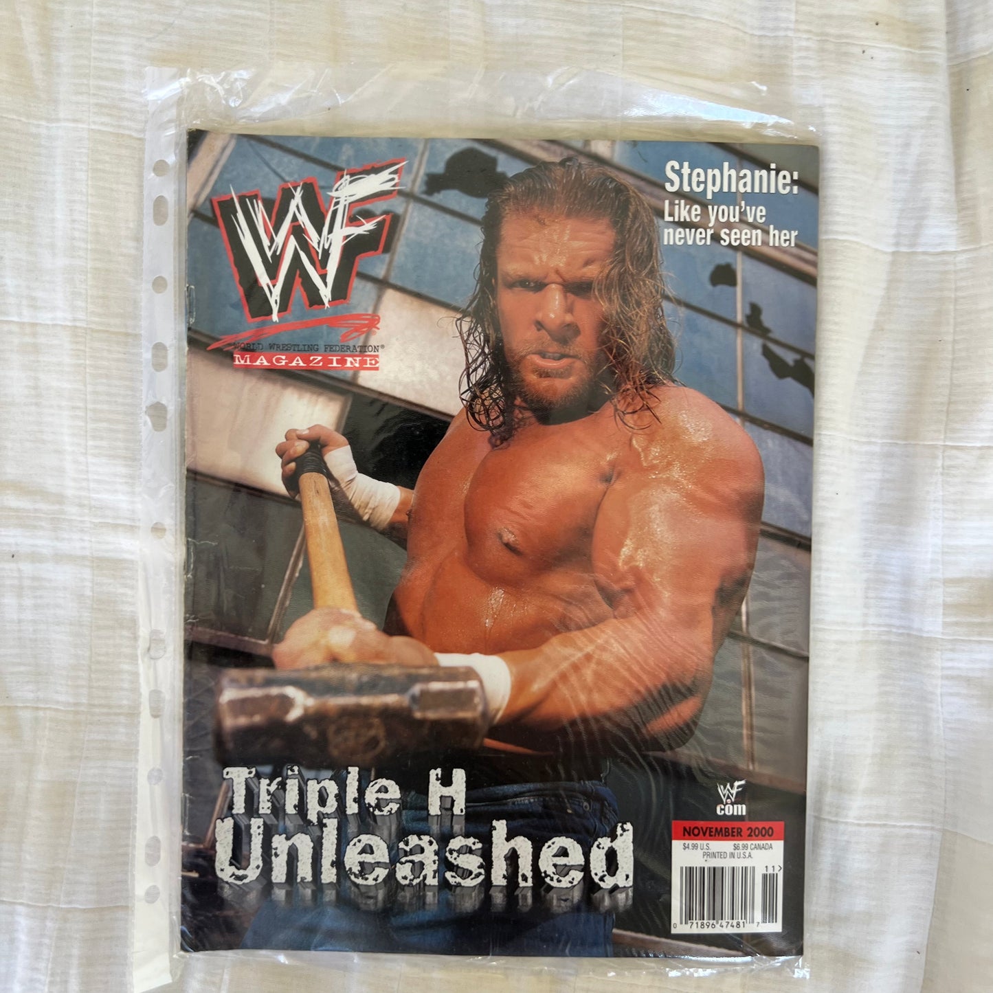 Triple H - WWE WWF Magazine Retro Collectable Merchandise