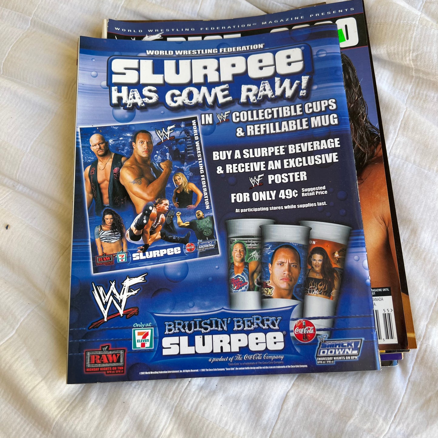 Hogan - WWE WWF Magazine Retro Collectable Merchandise