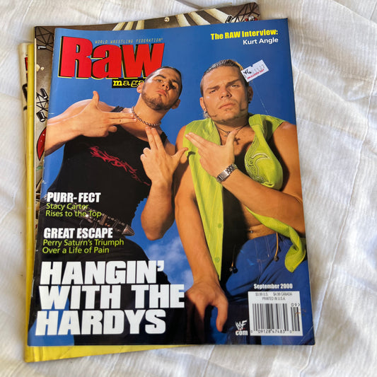 Hardy Boys - WWE WWF Magazine Retro Collectable Merchandise