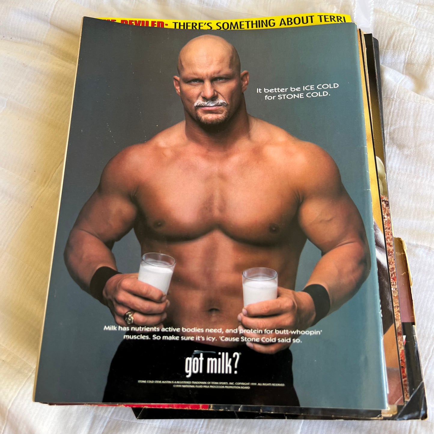 Steve Austin - WWE WWF Magazine Retro Collectable Merchandise