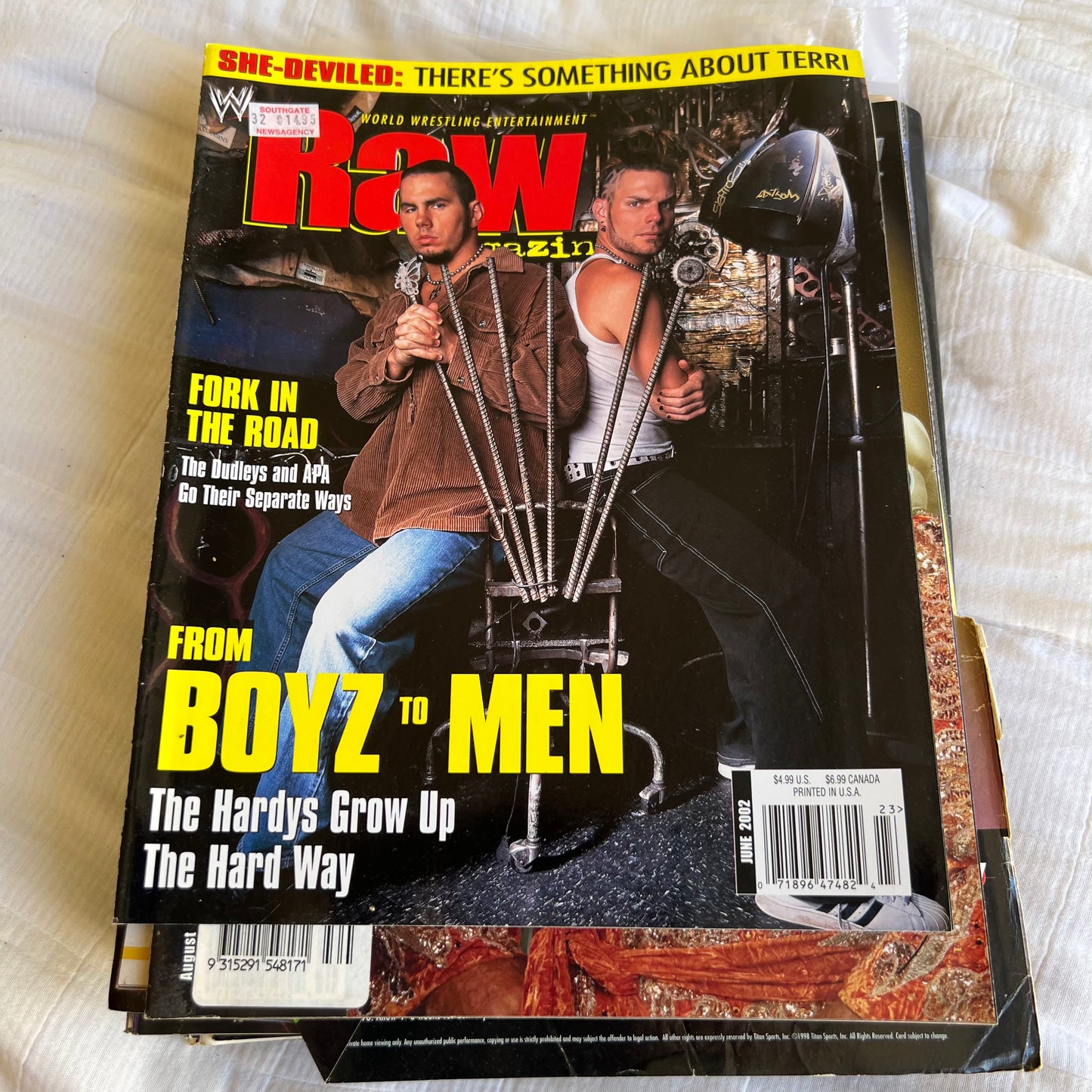 Hardy Boyz - WWE WWF Magazine Retro Collectable Merchandise