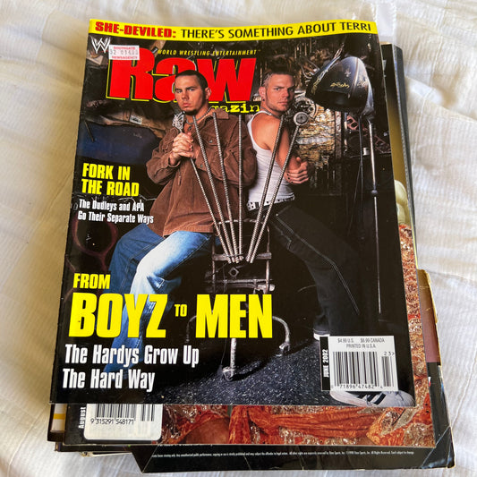 Hardy Boyz - WWE WWF Magazine Retro Collectable Merchandise