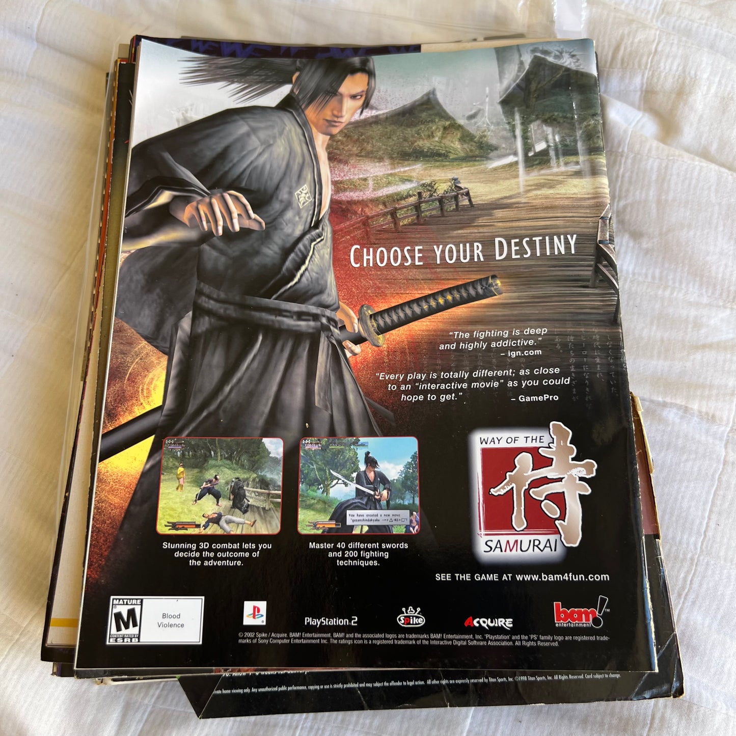 Hardy Boyz - WWE WWF Magazine Retro Collectable Merchandise