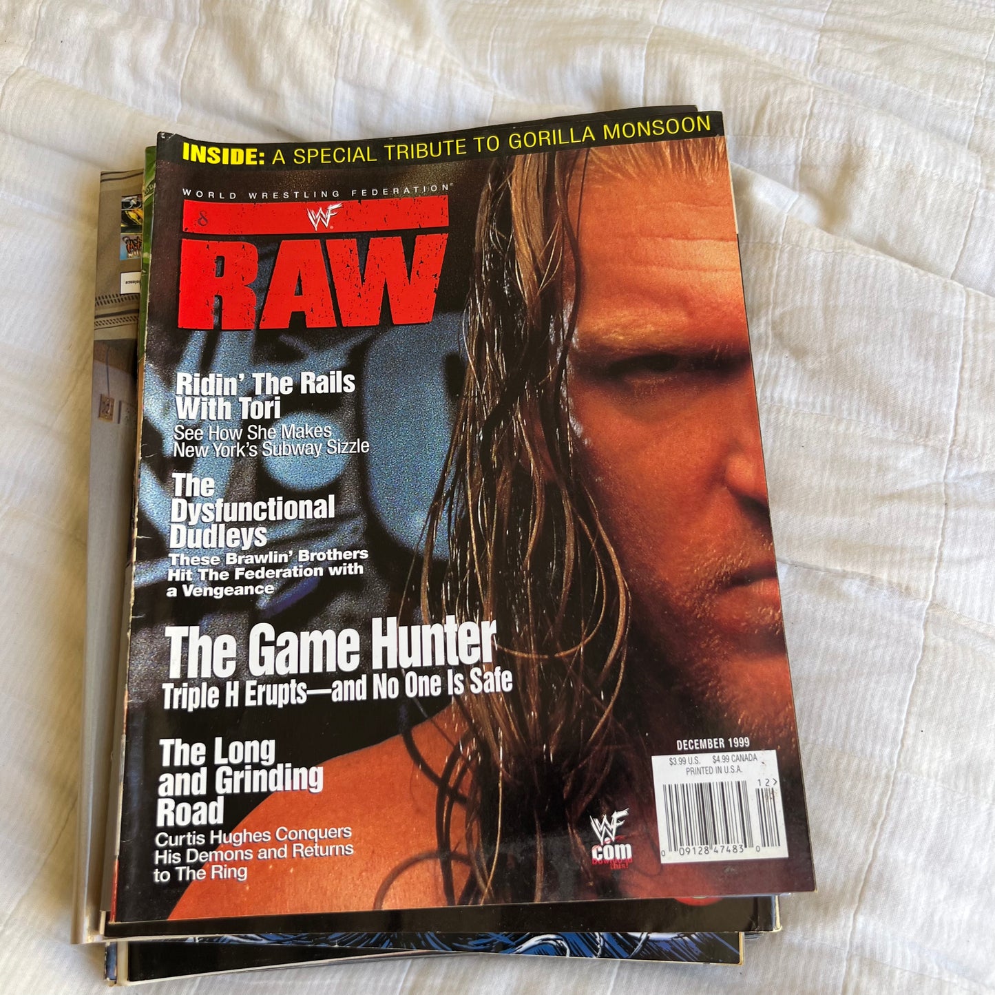 Triple H - WWE WWF Magazine Retro Collectable Merchandise