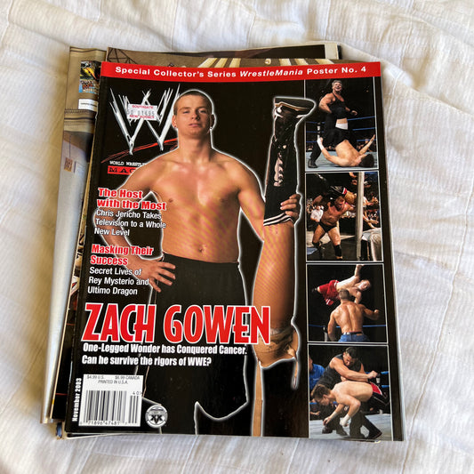 Zach Gowan - WWE WWF Magazine Retro Collectable Merchandise