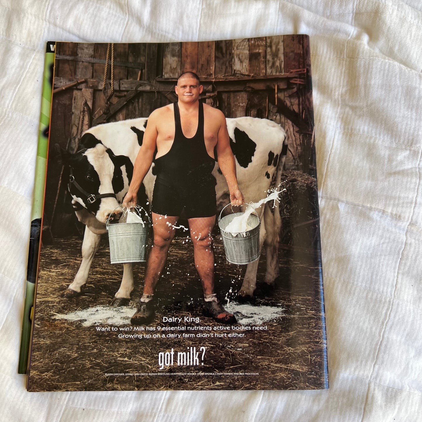 Hardys - WWE WWF Magazine Retro Collectable Merchandise