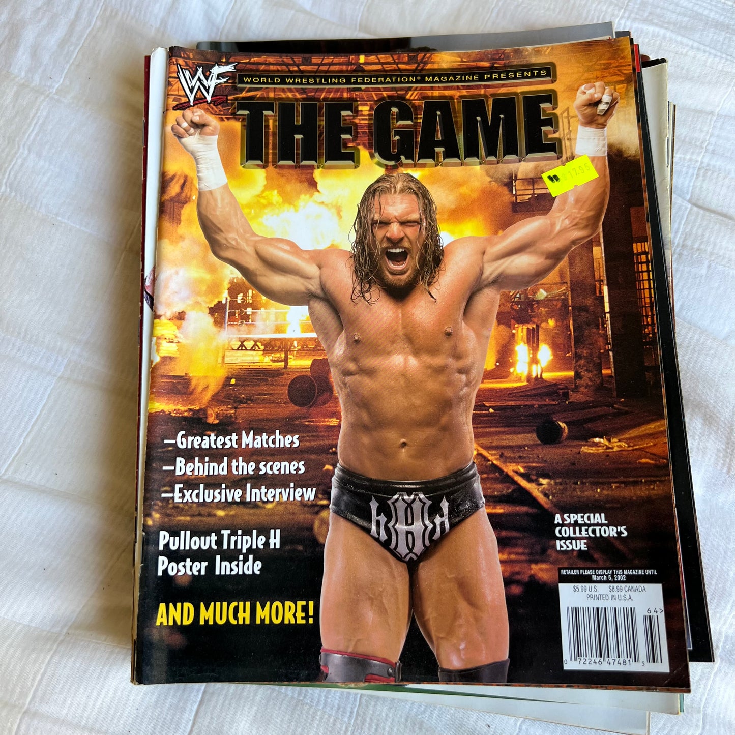 Triple H - WWE WWF Magazine Retro Collectable Merchandise