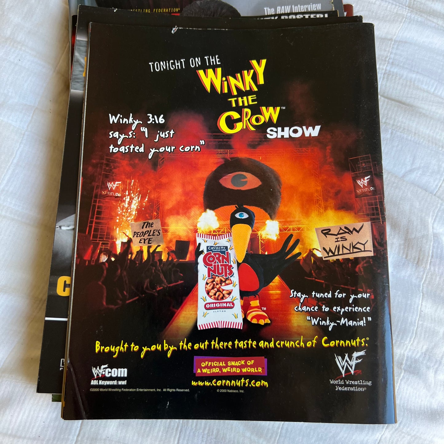 Chyna - WWE WWF Magazine Retro Collectable Merchandise