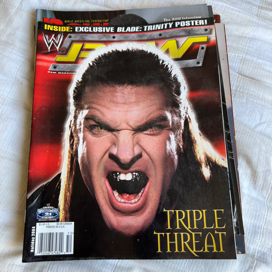 Triple H - WWE WWF Magazine Retro Collectable Merchandise