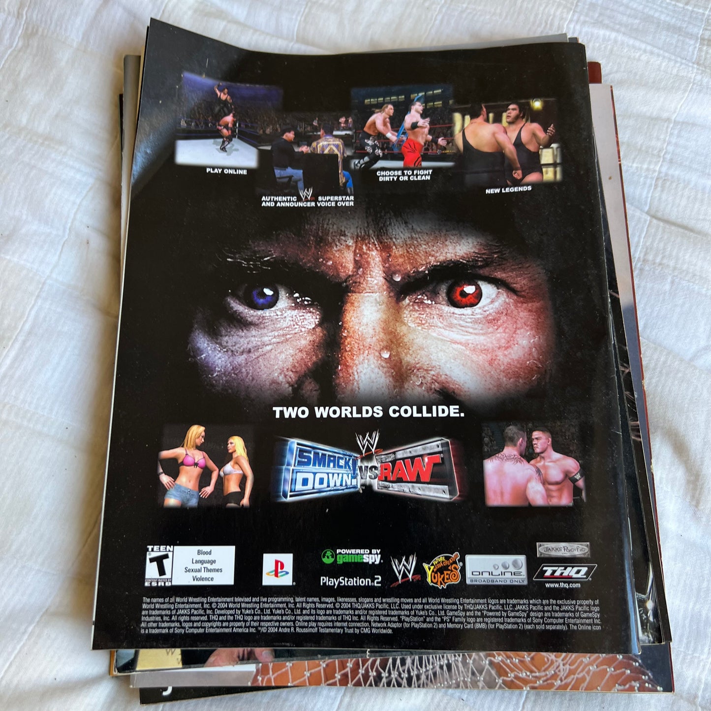 Triple H - WWE WWF Magazine Retro Collectable Merchandise