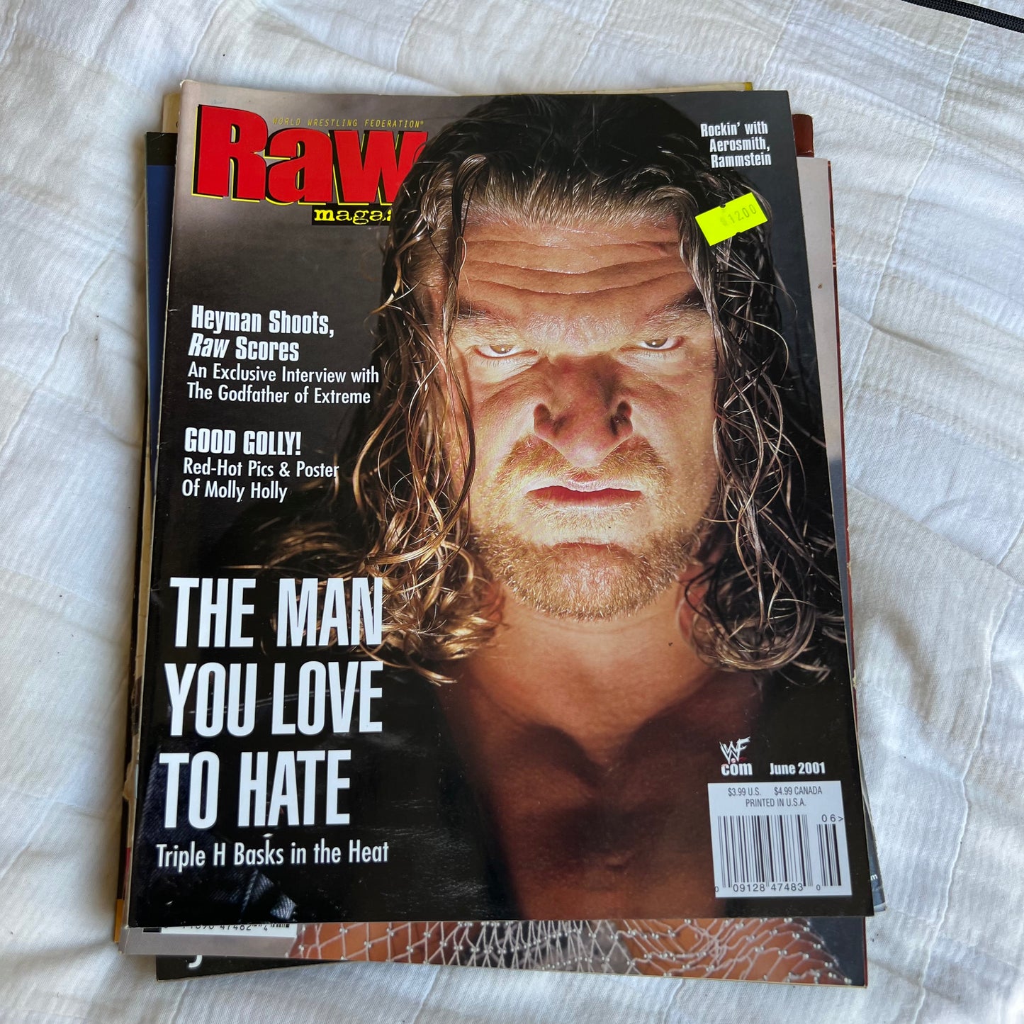 Triple H - WWE WWF Magazine Retro Collectable Merchandise