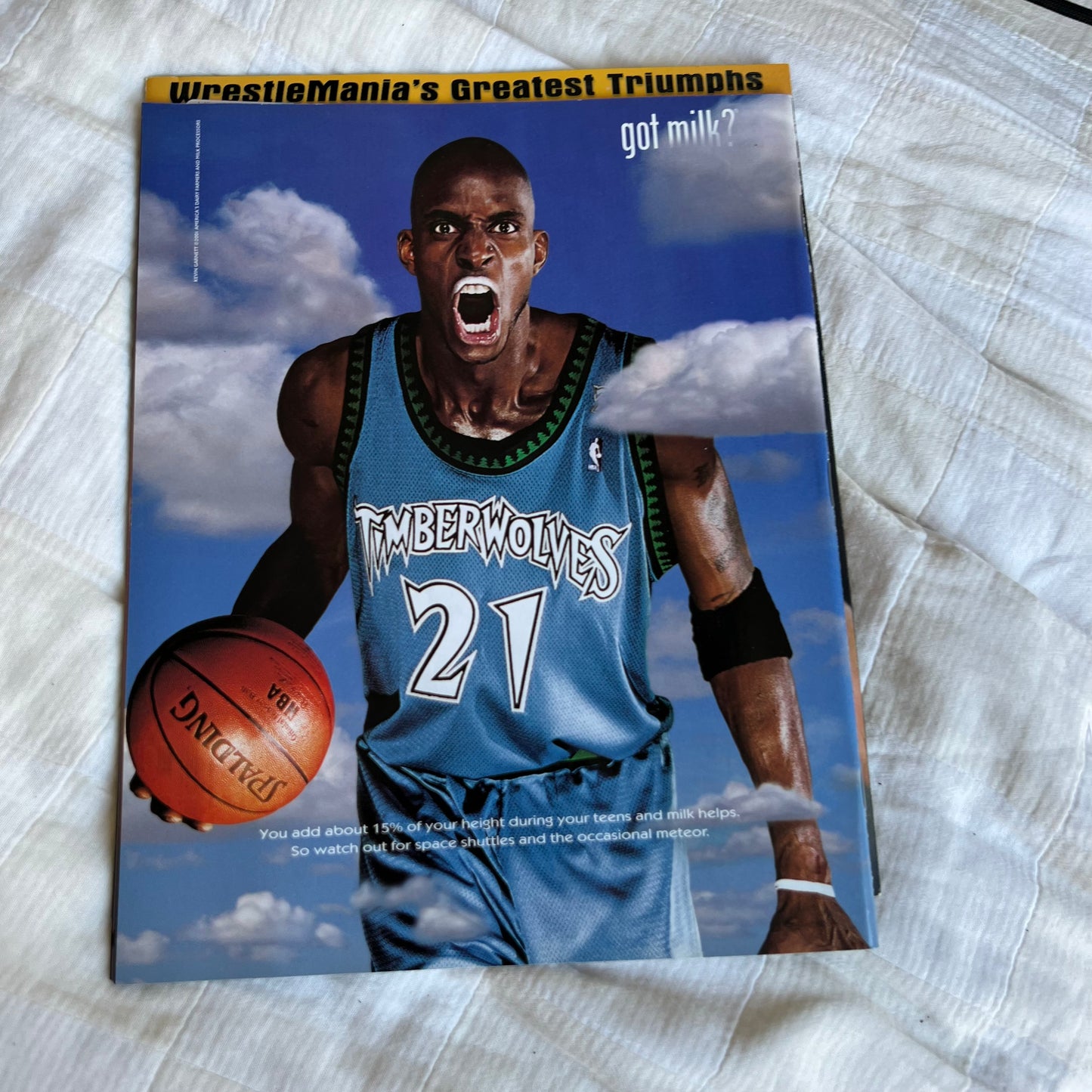 Austin Hogan - WWE WWF Magazine Retro Collectable Merchandise