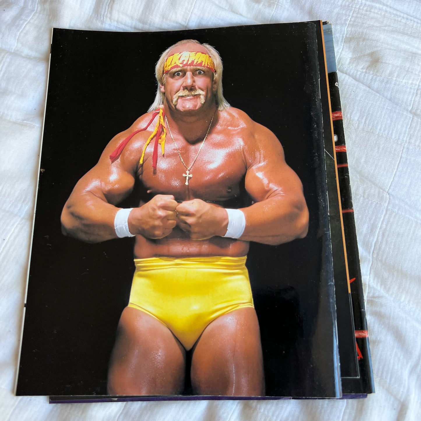 Hulk Hogan - WWE WWF Magazine Retro Collectable Merchandise