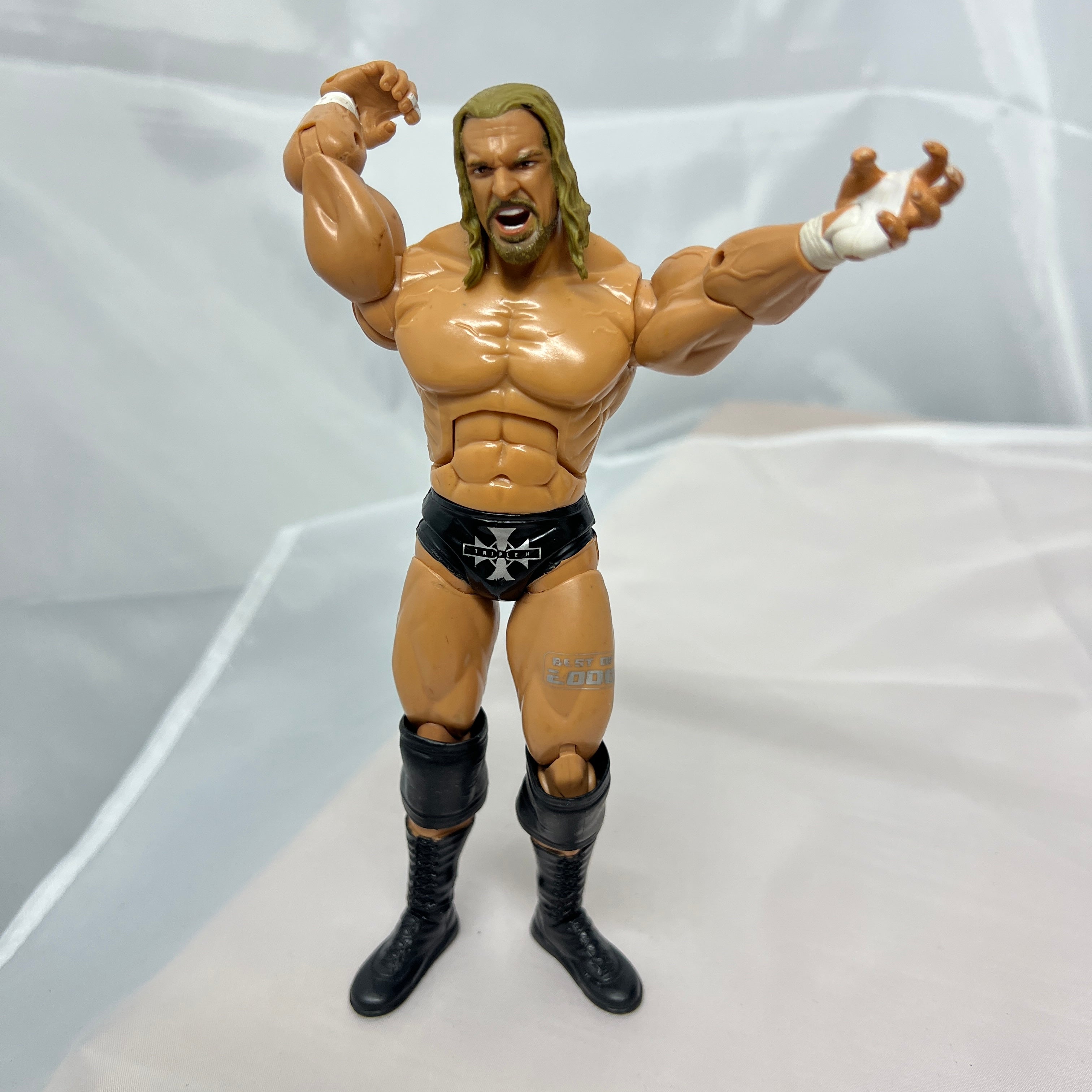 Triple H Jakks WWE Out Of Box Action Figures Mattel 8