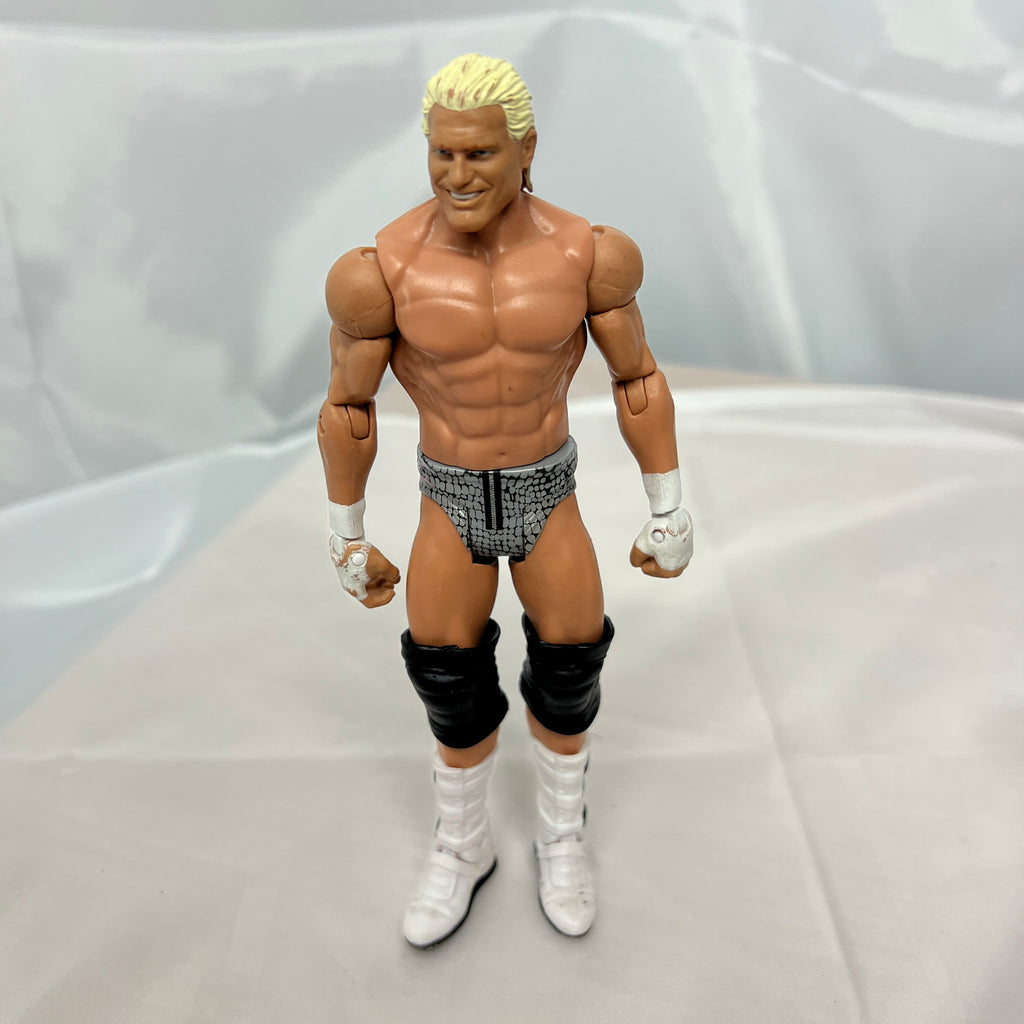 Dolph Ziggler WWE Out Of Box Action Figure Mattel 8