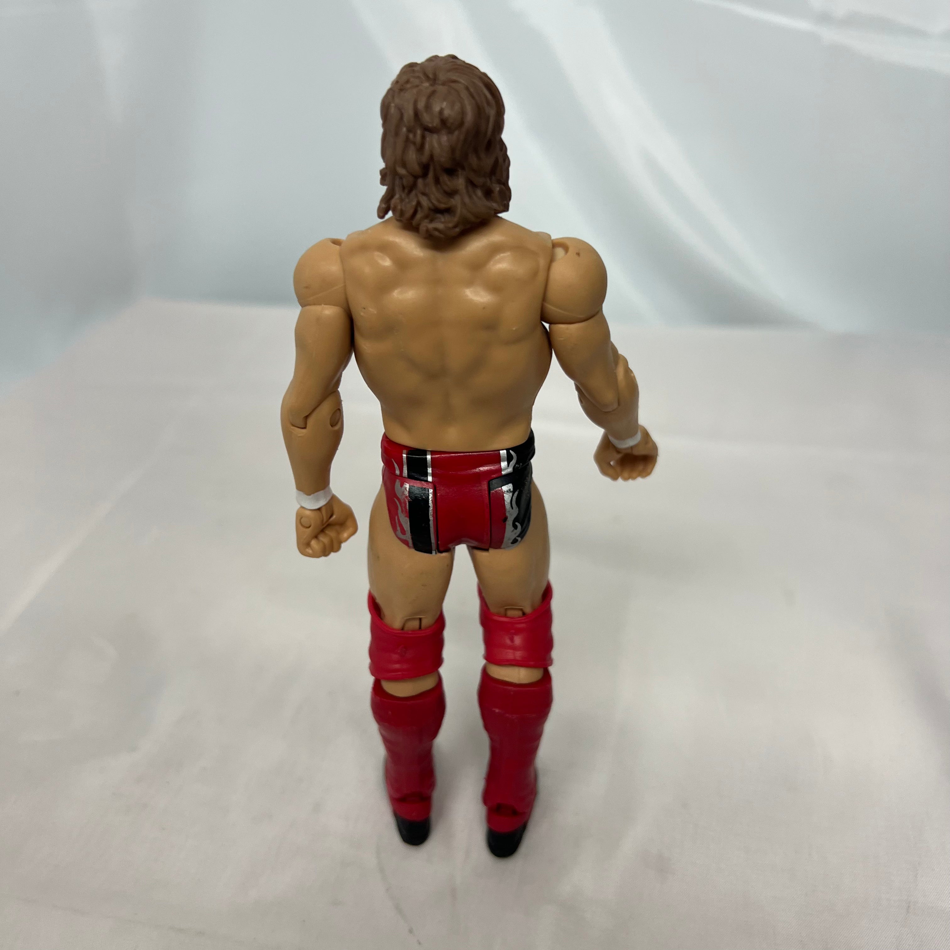 Daniel Bryan WWE Series Loose Action Figure Mattel