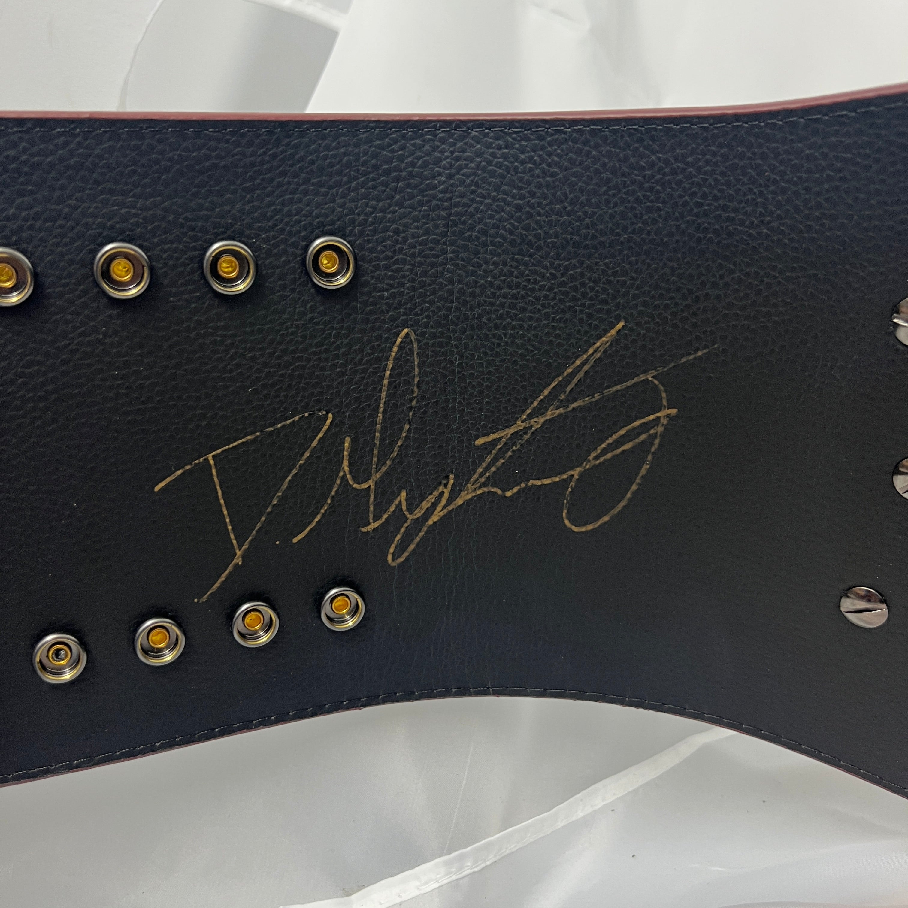 NXT North American Championshiped Signed Dominik Mysterio WWE Replica Title Belt