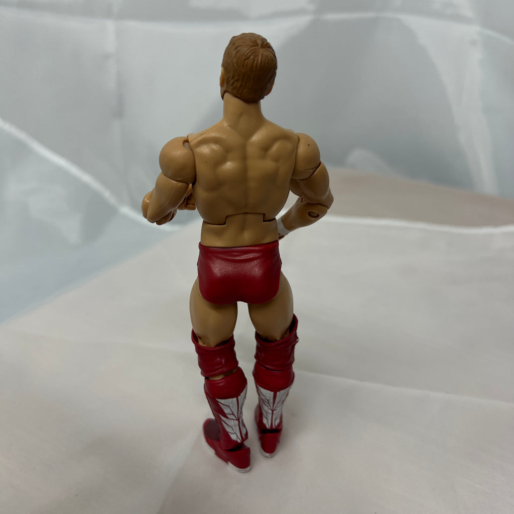 Daniel Bryan WWE Elite Out Of Box Action Figure Mattel WWE 8