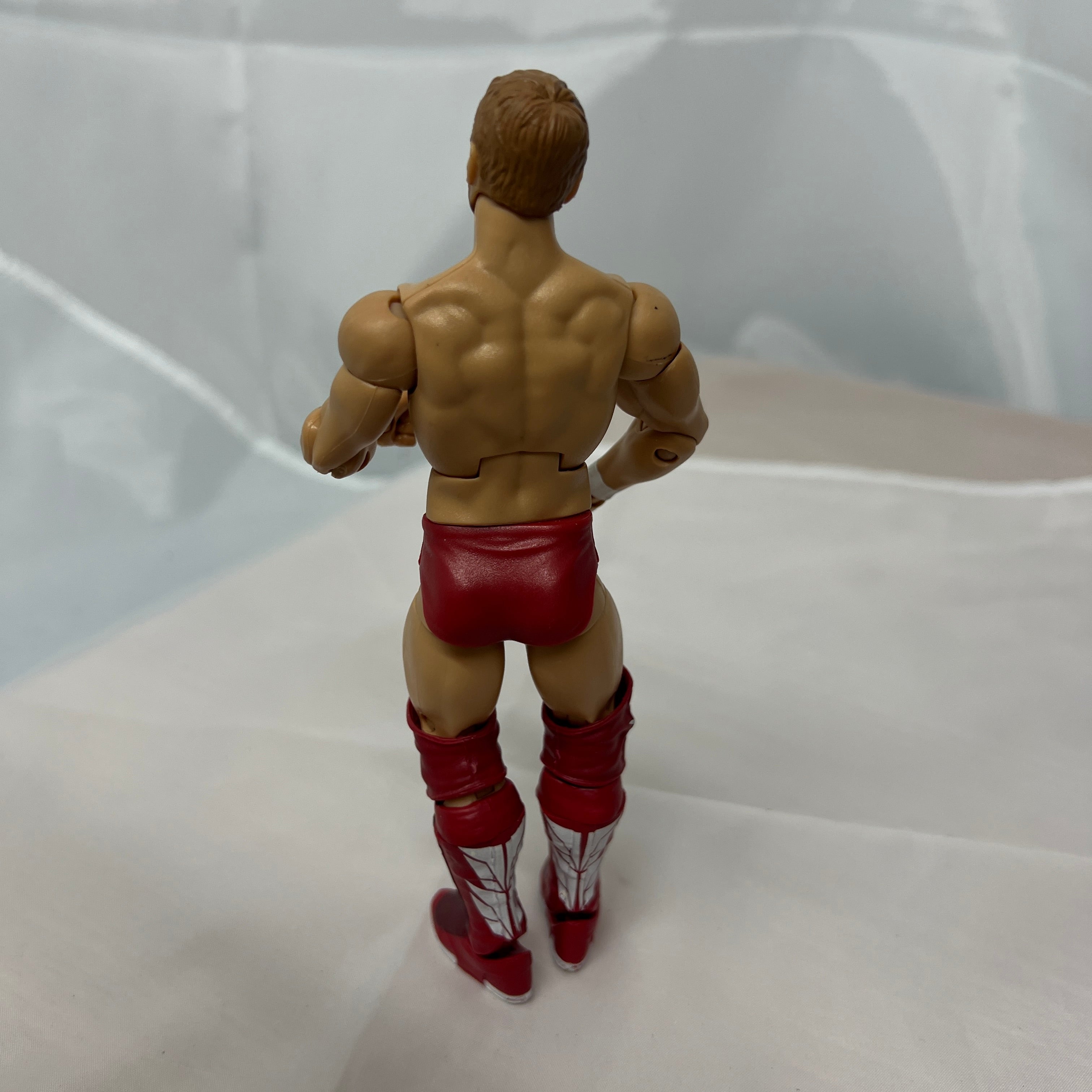 Daniel Bryan WWE Elite Out Of Box Action Figure Mattel WWE 8