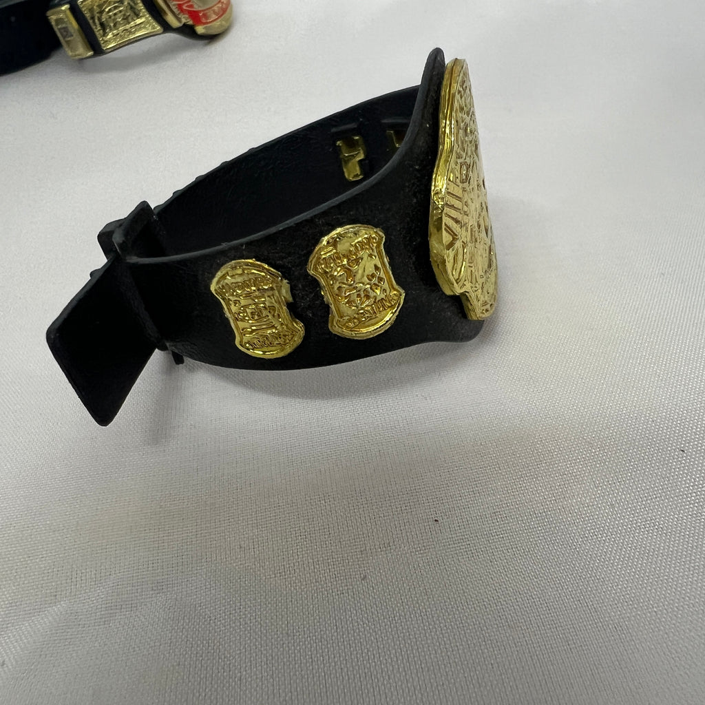 ECW World Championship Belt Accessory Action Figure Jakks