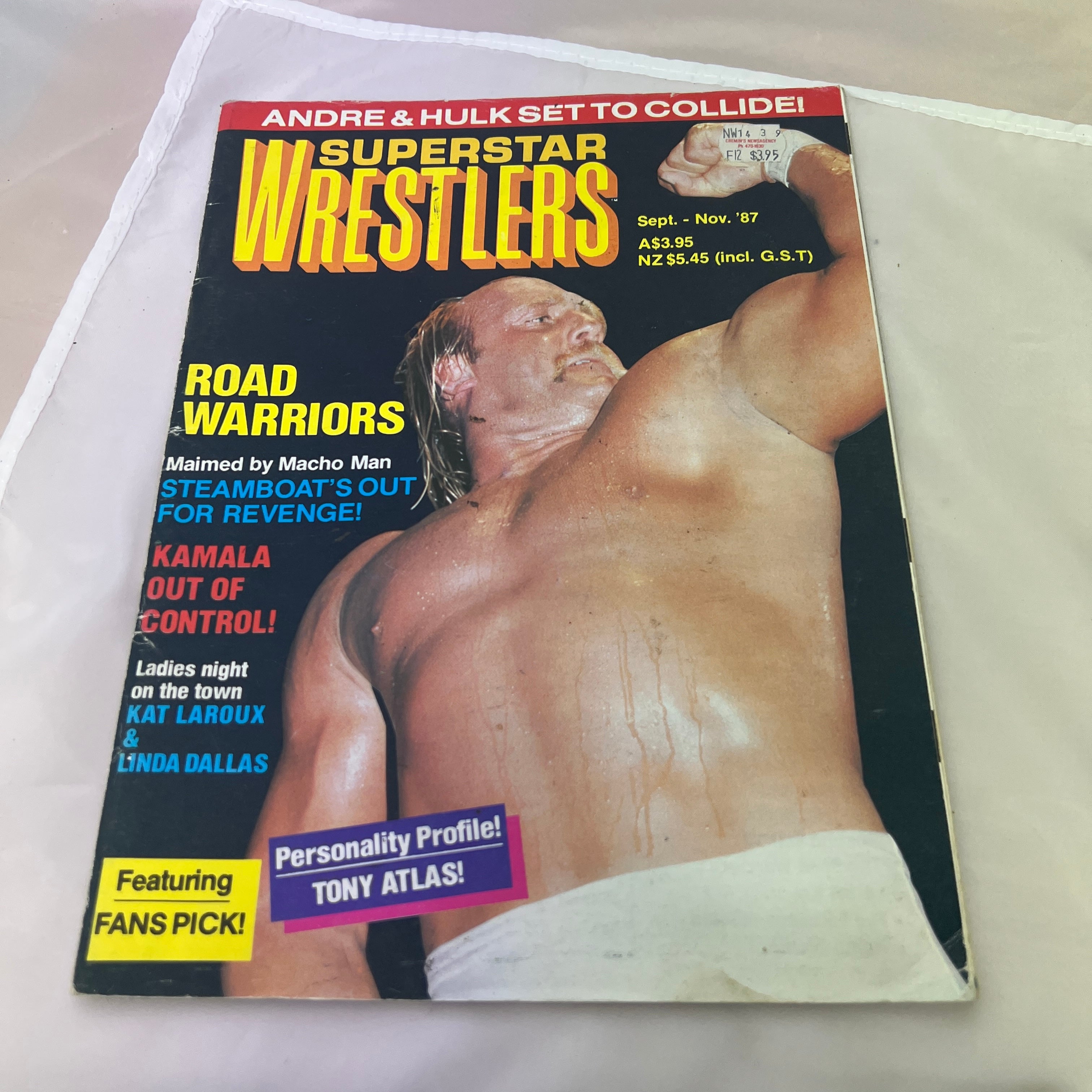Superstars Wrestlers WWE WWF Magazine Retro Collectable Merchandise