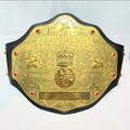 WWE World Heavyweight 2002 Retro Championship Replica Title Belt WWE Authentic
