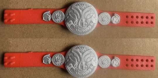 2 x WWE Raw Tag Team Action Figure Belt Title Championship Mattel