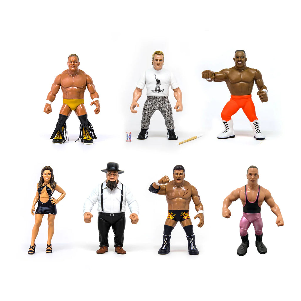 PREORDER Set Of 7 Bonus Danny Doring Heels and Faces Series 6 Retro Action Figures WWE