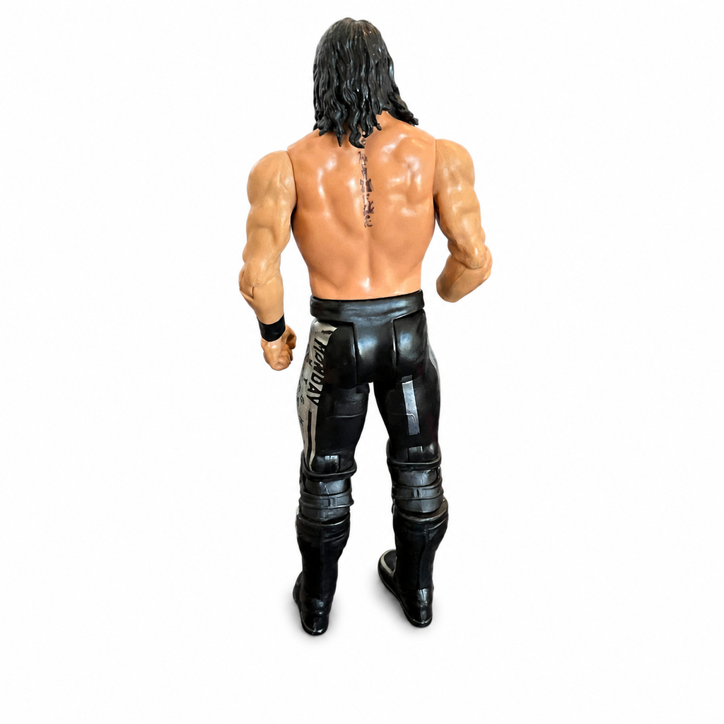 Seth Rollins WWE Out Of Box Action Figure Mattel