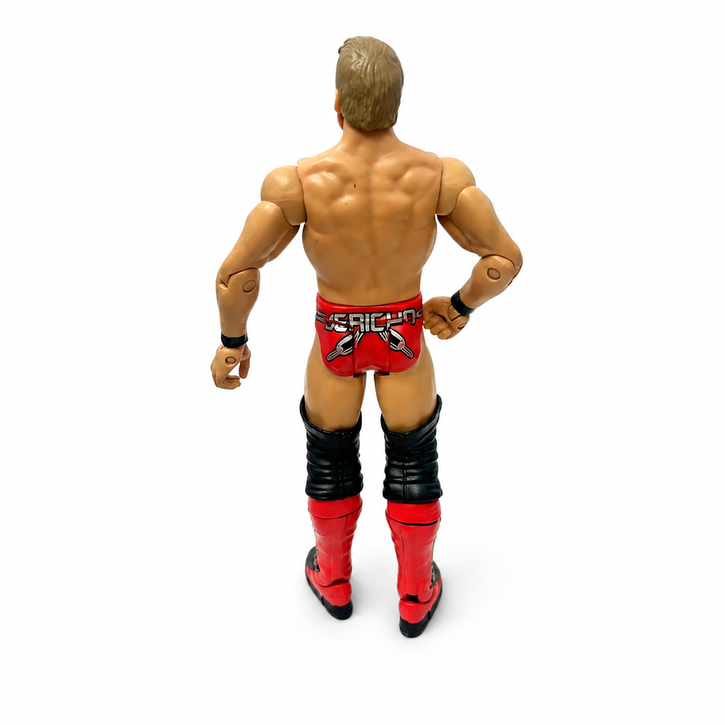 Chris Jericho WWE Out Of Box Action Figure Mattel 5