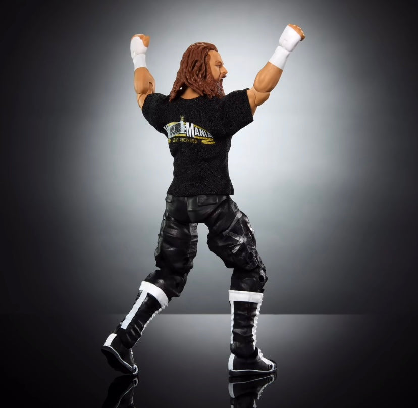 Sami Zayn - WWE Ultimate Edition 21