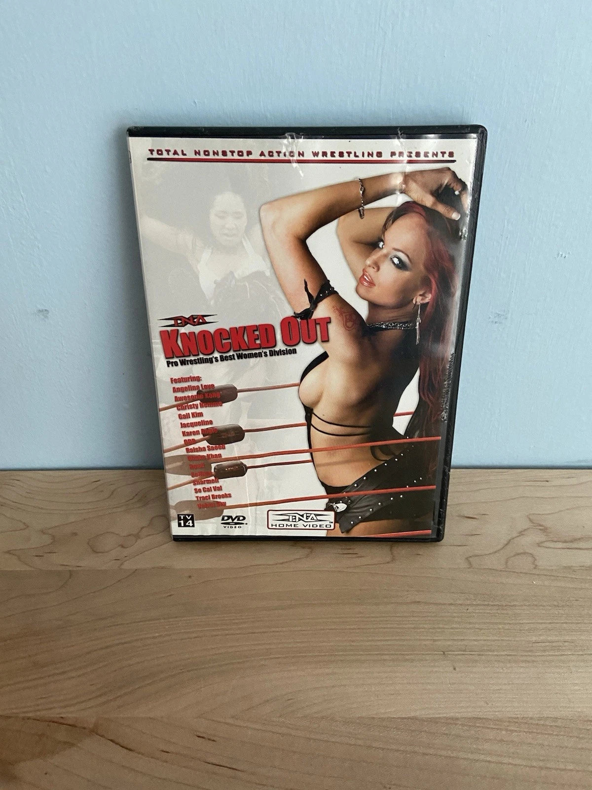 TNA Knocked Out Pro Wrestling Womens Division Christy Hemme Cover WWE