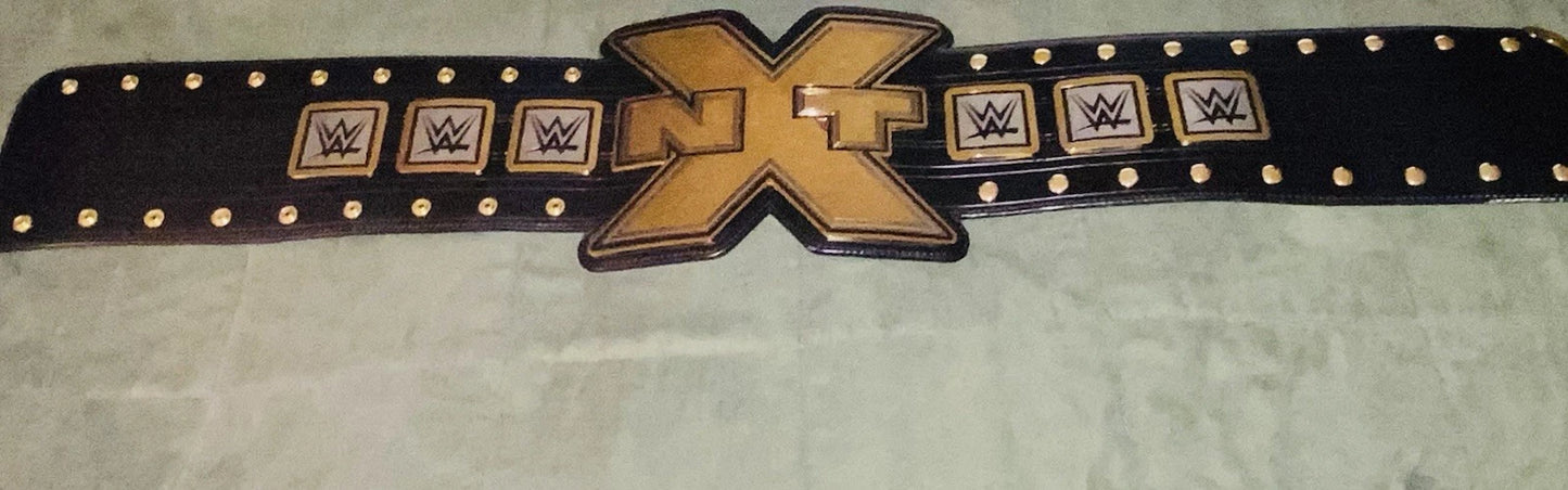 WWE NXT Championship 2014 V1 Original Official Replica Title Belt