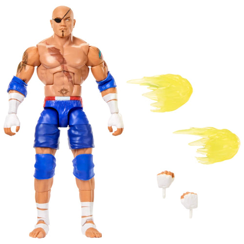 Batista WWE Elite Street Fighter Action Figure Mattel